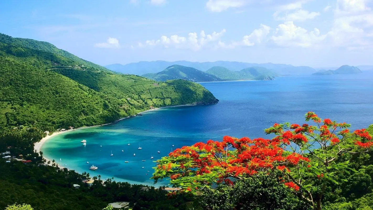 高效高端